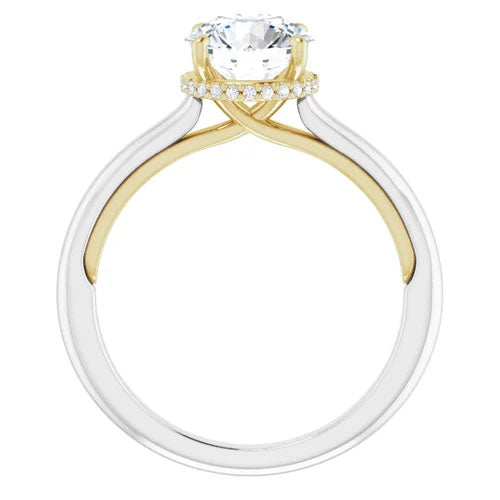 Cathedral Two-Tone 1/3ctw Hidden Halo Diamond Engagement Setting